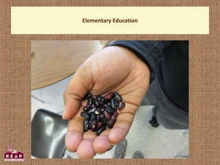 Elementary Education
 