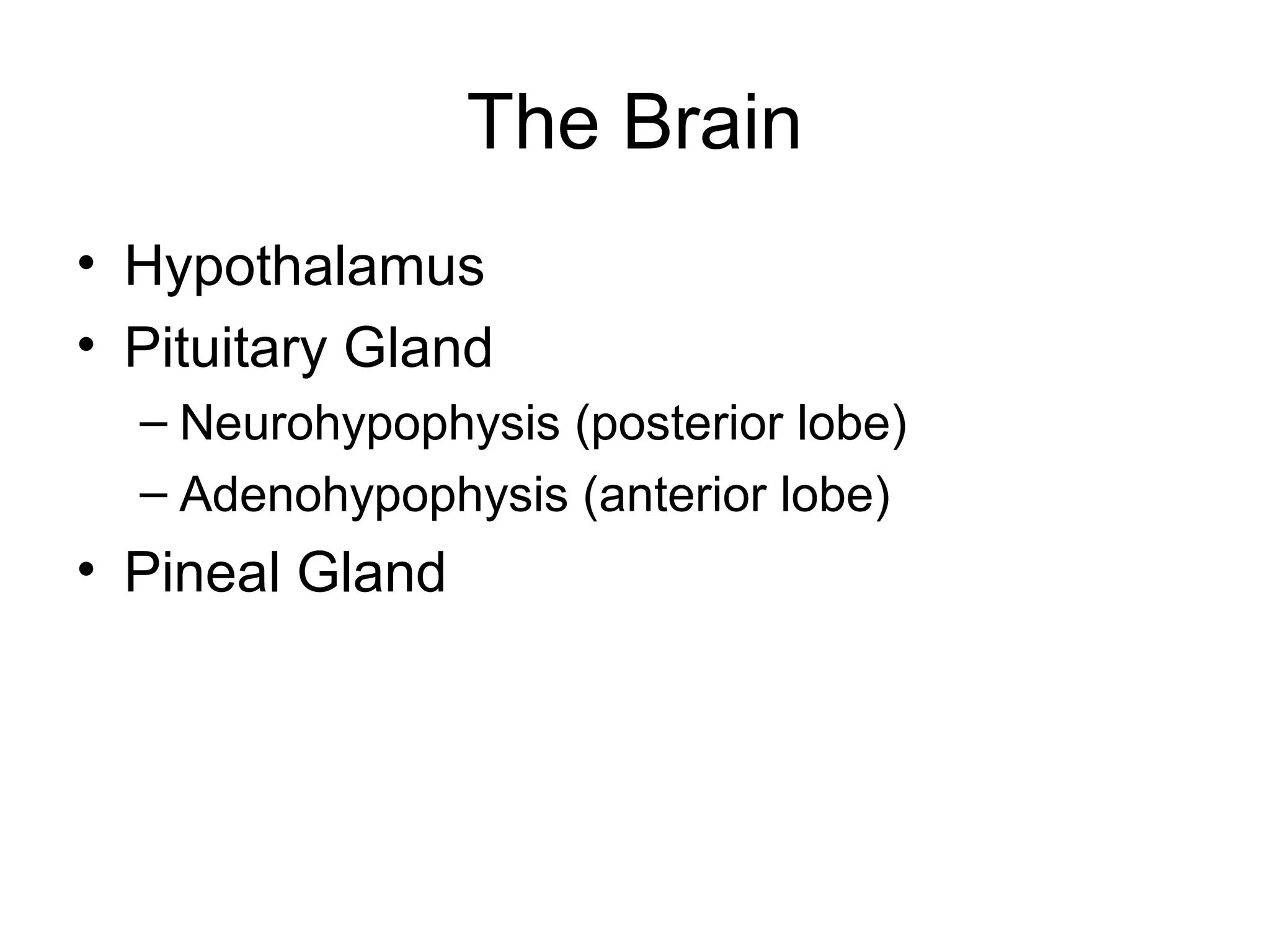 The Brain
• Hypothalamus
• Pituitary Gland
  – Neurohypophysis (posterior lobe)
  – Adenohypophysis (anterior lobe)
• Pineal Gland
 