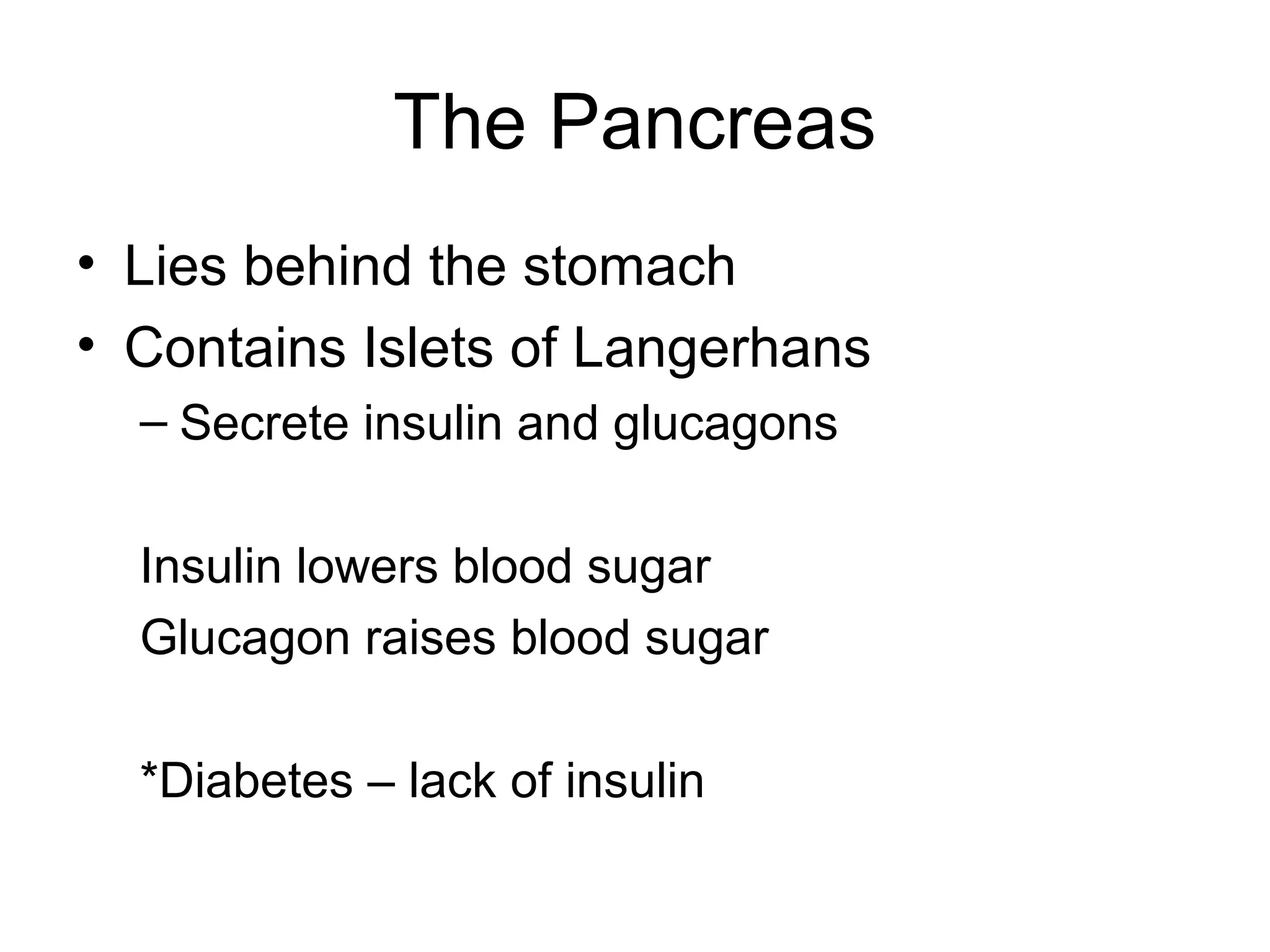 The Pancreas
• Lies behind the stomach
• Contains Islets of Langerhans
  – Secrete insulin and glucagons

  Insulin lowers blood sugar
  Glucagon raises blood sugar

  *Diabetes – lack of insulin
 