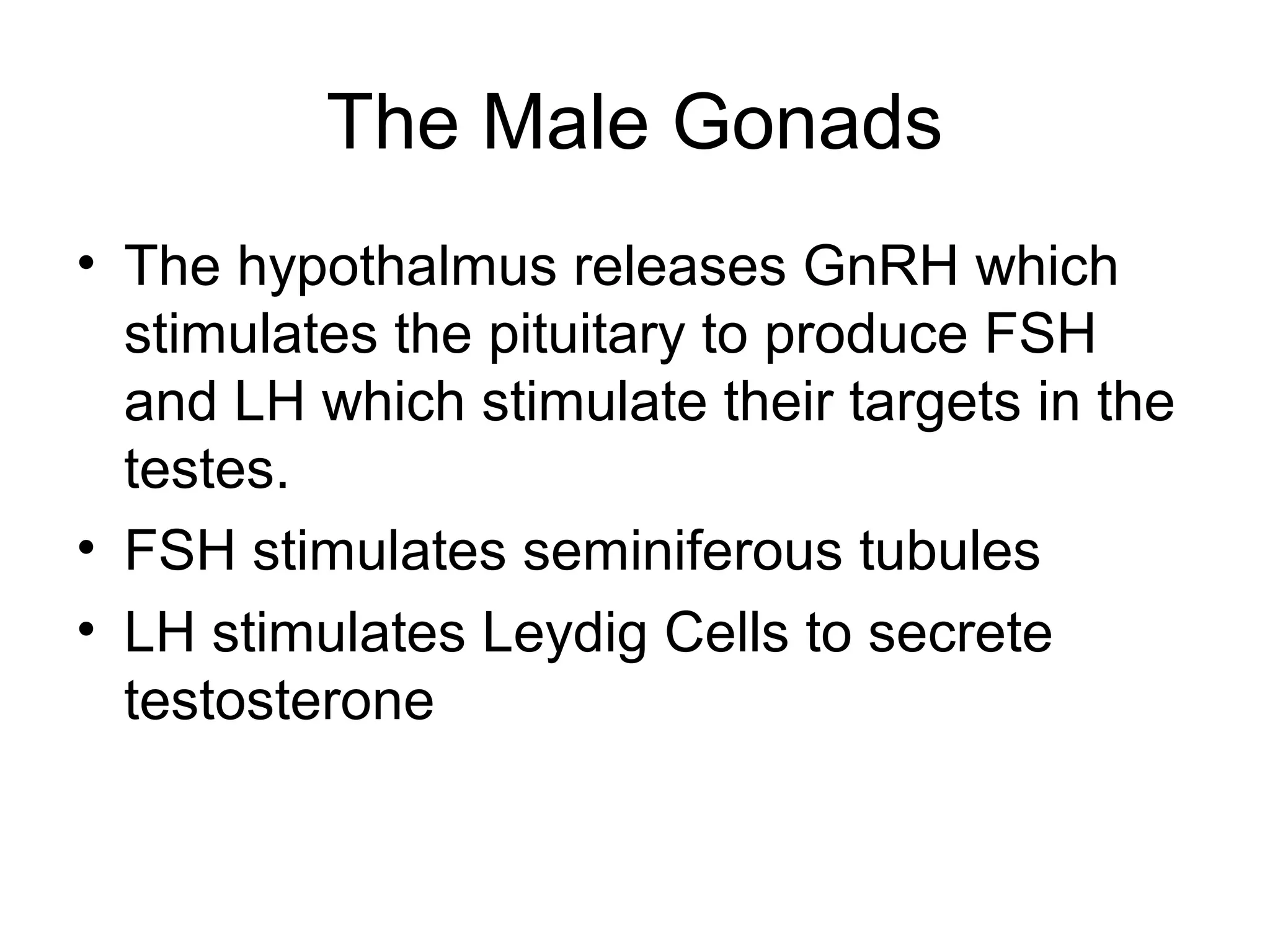 The Male Gonads
• The hypothalmus releases GnRH which
  stimulates the pituitary to produce FSH
  and LH which stimulate their targets in the
  testes.
• FSH stimulates seminiferous tubules
• LH stimulates Leydig Cells to secrete
  testosterone
 