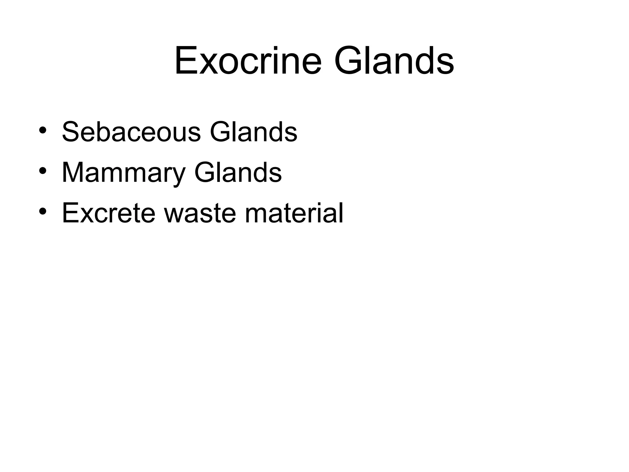 Exocrine Glands
• Sebaceous Glands
• Mammary Glands
• Excrete waste material
 
