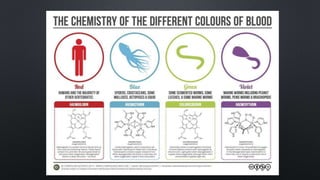 F2 zoo ppt