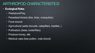 ARTHROPOD CHARACTERISTICS
• Ecological Roles
• Predators/Prey
• Parasites/Vectors (lice, ticks, mosquitos)
• Food source
• Agricultural pests (locusts, catepillars, beetles, )
• Pollinators (bees, butterflies)
• Produce honey, silk
• Medical uses (bee pollen, crab blood)
 