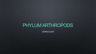 PHYLUM ARTHROPODS
“JOINTED LEGS”
 