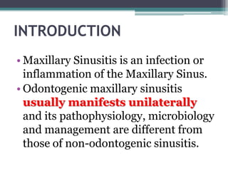 INTRODUCTION
• Maxillary Sinusitis is an infection or
inflammation of the Maxillary Sinus.
• Odontogenic maxillary sinusitis
usually manifests unilaterally
and its pathophysiology, microbiology
and management are different from
those of non-odontogenic sinusitis.
 