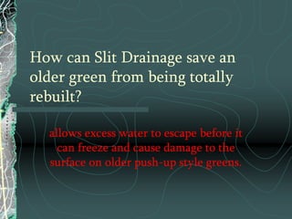 Where are the Collector Drains normally installed?In the lowest-lying areas to be drained into irrigation source