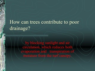  daily tasks will not suffer