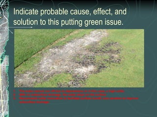 Slit drainage is not a permanent solution, and may need to be done every couple of years.How can trees contribute to poor drainage?by blocking sunlight and air circulation, which reduces both evaporation and 	transpiration of moisture from the turf canopy. 