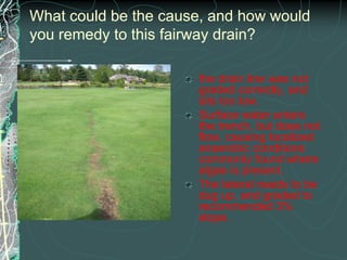deep tine and solid tine with sand topdressing will 