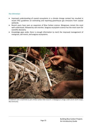 Page 15
Building Blue Carbon Projects
An Introductory Guide
Key takeaways:
Improved understanding of coastal ecosystems in a climate change context has resulted in
recent IPCC guidelines on estimating and reporting greenhouse gas emissions from coastal
wetlands.
Recent years have seen an expansion of Blue Carbon science. Mangroves remain the most
well-understood, followed by salt marshes. Seagrass ecosystem science has the most room for
scientific discovery.
Knowledge gaps aside, there is enough information to merit the improved management of
mangrove, salt marsh, and seagrass ecosystems.
A sediment core is examined as part of Blue Carbon field research in Madagascar (image credit and © Garth Cripps,
Blue Ventures).
 
