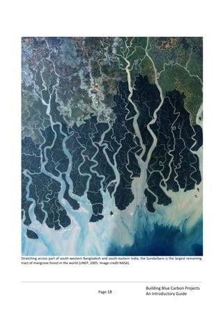 Page 18
Building Blue Carbon Projects
An Introductory Guide
Stretching across part of south-western Bangladesh and south-eastern India, the Sundarbans is the largest remaining
tract of mangrove forest in the world (UNEP, 2005. Image credit NASA).
 