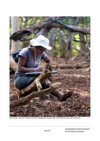 Page 24
Building Blue Carbon Projects
An Introductory Guide
Blue Carbon research in Mahajamba Bay, Madagascar (image credit and © Garth Cripps, Blue Ventures).
 