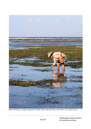 Page 28
Building Blue Carbon Projects
An Introductory Guide
Artisanal fishing on a seagrass meadow at low tide in Bali, Indonesia (Image credit Steven J Lutz, GRID-Arendal).
 
