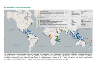 3.4 Existing Blue Carbon Projects Worldwide
The Blue Carbon world is rapidly growing. Over the past several years, a variety of efforts and initiatives, from feasibility assessments to full-scale demonstration
projects, have taken shape, and continue to do so. The global map of Blue Carbon illustrated here in Figure 5 is based on information presented in the UNEP and
GRID-Arendal managed Blue Carbon Portal (Blue Carbon Portal, 2013), Bredbenner, 2012, Albert et al., 2012, Laffoley, 2013, Ajonina et al., in press, and provides an
overview of these activities. It is however, a snapshot of information and not intended to be a comprehensive portrayal.
Figure 5 Blue Carbon projects worldwide.
 