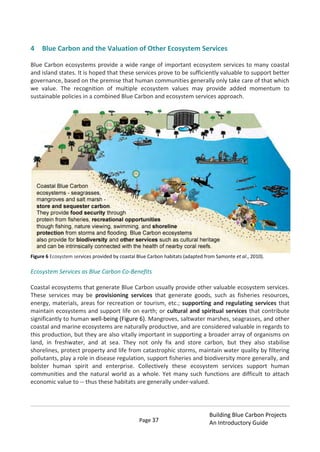 Page 37
Building Blue Carbon Projects
An Introductory Guide
4 Blue Carbon and the Valuation of Other Ecosystem Services
Blue Carbon ecosystems provide a wide range of important ecosystem services to many coastal
and island states. It is hoped that these services prove to be sufficiently valuable to support better
governance, based on the premise that human communities generally only take care of that which
we value. The recognition of multiple ecosystem values may provide added momentum to
sustainable policies in a combined Blue Carbon and ecosystem services approach.
Figure 6 Ecosystem services provided by coastal Blue Carbon habitats (adapted from Samonte et al., 2010).
Ecosystem Services as Blue Carbon Co-Benefits
Coastal ecosystems that generate Blue Carbon usually provide other valuable ecosystem services.
These services may be provisioning services that generate goods, such as fisheries resources,
energy, materials, areas for recreation or tourism, etc.; supporting and regulating services that
maintain ecosystems and support life on earth; or cultural and spiritual services that contribute
significantly to human well-being (Figure 6). Mangroves, saltwater marshes, seagrasses, and other
coastal and marine ecosystems are naturally productive, and are considered valuable in regards to
this production, but they are also vitally important in supporting a broader array of organisms on
land, in freshwater, and at sea. They not only fix and store carbon, but they also stabilise
shorelines, protect property and life from catastrophic storms, maintain water quality by filtering
pollutants, play a role in disease regulation, support fisheries and biodiversity more generally, and
bolster human spirit and enterprise. Collectively these ecosystem services support human
communities and the natural world as a whole. Yet many such functions are difficult to attach
economic value to -- thus these habitats are generally under-valued.
 