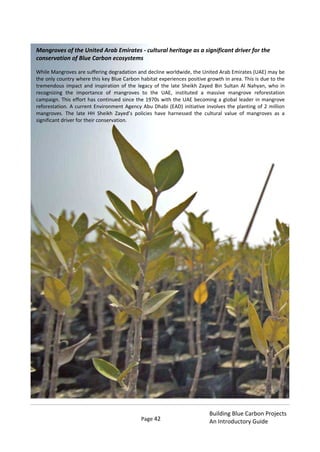 Page 42
Building Blue Carbon Projects
An Introductory Guide
Mangroves of the United Arab Emirates - cultural heritage as a significant driver for the
conservation of Blue Carbon ecosystems
While Mangroves are suffering degradation and decline worldwide, the United Arab Emirates (UAE) may be
the only country where this key Blue Carbon habitat experiences positive growth in area. This is due to the
tremendous impact and inspiration of the legacy of the late Sheikh Zayed Bin Sultan Al Nahyan, who in
recognizing the importance of mangroves to the UAE, instituted a massive mangrove reforestation
campaign. This effort has continued since the 1970s with the UAE becoming a global leader in mangrove
reforestation. A current Environment Agency Abu Dhabi (EAD) initiative involves the planting of 2 million
mangroves. The late HH Sheikh Zayed’s policies have harnessed the cultural value of mangroves as a
significant driver for their conservation.
 
