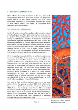 Page 43
Building Blue Carbon Projects
An Introductory Guide
5 Blue Carbon and Coral Reefs
Often referred to as the “rainforests of the sea,” coral reefs
represent one of the most productive, diverse, and magnificent
marine habitats on the planet. Although not Blue Carbon
ecosystems, coral reefs can be intrinsically connected and related
to Blue Carbon habitats and should be considered when
developing Blue Carbon projects.
Why Coral Reefs are not Blue Carbon
Coral reefs build massive calcium carbonate (limestone) structures
in shallow tropical seas. Although these ecosystems cover less than
0.1 percent of the world’s surface area, they are responsible for
burying about half of the limestone in the oceans. Because they
produce such large amounts of limestone it is often assumed that
these ecosystems must be sinks for atmospheric carbon. However,
this is not the case, because when calcium is precipitated by corals
during calcification (the process by which living organisms deposit
inorganic carbon in solid form to make calcium carbonate
skeletons or shells) carbon dioxide is actually generated rather
than consumed. This has been known for well over a century.
Other biological processes, in addition to calcification, also impact
the amount of carbon dioxide produced or consumed by reef
ecosystems. These metabolic processes include respiration, which
produces carbon dioxide, and photosynthesis, which consumes
carbon dioxide. Some reef areas, such as shallow reef flats, can be
dominated by photosynthesizing organisms, such as seaweeds and
seagrasses, which are a sink for carbon dioxide. However, most
other reef areas are inhabited by many non-photosynthetic
organisms whose respiration is a source of carbon dioxide.
Consequently, in most reef systems, photosynthesis and
respiration tend to balance each other out, and the net result
contributes little to the overall carbon dioxide budget for reefs
which is dominated by the effects of calcification.
As a result of these combined processes, reefs are net sources of
carbon dioxide that globally contribute 0.02 - 0.08 billion metric
tons of carbon dioxide per year to the atmosphere (Ware et al.,
1992). This is a tiny fraction (no more than about 0.2 per cent) of
the amount contributed by fossil fuel emissions (which reached 36
billion metric tons in 2013) (Carbon Dioxide Information Analysis
Center, 2013). Consequently, although reefs are net sources of
carbon to the atmosphere, their contribution is negligible
compared to the combustion of fossil fuels.
Image credit Glenn Edney
 