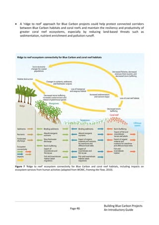 Page 46
Building Blue Carbon Projects
An Introductory Guide
A ‘ridge to reef’ approach for Blue Carbon projects could help protect connected corridors
between Blue Carbon habitats and coral reefs and maintain the resiliency and productivity of
greater coral reef ecosystems, especially by reducing land-based threats such as
sedimentation, nutrient enrichment and pollution runoff.
Figure 7 ‘Ridge to reef’ ecosystem connectivity for Blue Carbon and coral reef habitats, including impacts on
ecosystem services from human activities (adapted from WCMC, Framing the Flow, 2010).
Ridge to reef ecosystem connectivity for Blue Carbon and coral reef habitats
 