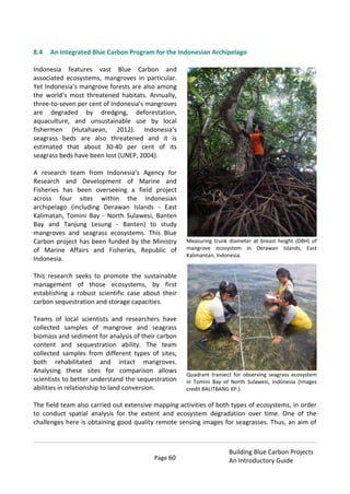 Page 60
Building Blue Carbon Projects
An Introductory Guide
8.4 An Integrated Blue Carbon Program for the Indonesian Archipelago
Indonesia features vast Blue Carbon and
associated ecosystems, mangroves in particular.
Yet Indonesia’s mangrove forests are also among
the world’s most threatened habitats. Annually,
three-to-seven per cent of Indonesia’s mangroves
are degraded by dredging, deforestation,
aquaculture, and unsustainable use by local
fishermen (Hutahaean, 2012). Indonesia’s
seagrass beds are also threatened and it is
estimated that about 30-40 per cent of its
seagrass beds have been lost (UNEP, 2004).
A research team from Indonesia’s Agency for
Research and Development of Marine and
Fisheries has been overseeing a field project
across four sites within the Indonesian
archipelago (including Derawan Islands - East
Kalimatan, Tomini Bay - North Sulawesi, Banten
Bay and Tanjung Lesung - Banten) to study
mangroves and seagrass ecosystems. This Blue
Carbon project has been funded by the Ministry
of Marine Affairs and Fisheries, Republic of
Indonesia.
This research seeks to promote the sustainable
management of those ecosystems, by first
establishing a robust scientific case about their
carbon sequestration and storage capacities.
Teams of local scientists and researchers have
collected samples of mangrove and seagrass
biomass and sediment for analysis of their carbon
content and sequestration ability. The team
collected samples from different types of sites,
both rehabilitated and intact mangroves.
Analysing these sites for comparison allows
scientists to better understand the sequestration
abilities in relationship to land conversion.
The field team also carried out extensive mapping activities of both types of ecosystems, in order
to conduct spatial analysis for the extent and ecosystem degradation over time. One of the
challenges here is obtaining good quality remote sensing images for seagrasses. Thus, an aim of
Measuring trunk diameter at breast height (DBH) of
mangrove ecosystem in Derawan Islands, East
Kalimantan, Indonesia.
Quadrant transect for observing seagrass ecosystem
in Tomini Bay of North Sulawesi, Indonesia (Images
credit BALITBANG KP.).
 