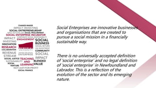 Social Enterprises are innovative businesses
and organisations that are created to
pursue a social mission in a financially
sustainable way.
There is no universally accepted definition
of ‘social enterprise’ and no legal definition
of ‘social enterprise’ in Newfoundland and
Labrador. This is a reflection of the
evolution of the sector and its emerging
nature.
 