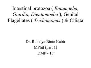 Intestinal protozoa ( Entamoeba,
Giardia, Dientamoeba ), Genital
Flagellates ( Trichomonas ) & Ciliata
Dr. Rubaiya Binte Kabir
MPhil (part 1)
DMP - 15
 