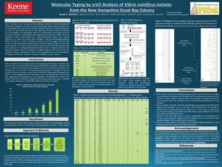Molecular Typing by srst2 Analysis of Vibrio vulnificus Isolates
from the New Hampshire Great Bay Estuary
Sarah E. Sanders1, Katherine Kiley1, Brian Moore1, Jordan Ramsdell2, Stephen Jones2 and Loren A. Launen1
Abstract
References
Results
Introduction
Vibrio vulnificus (Vv) is an opportunistic human pathogen that resides in seawater and
brackish areas, including the Great Bay Estuary (GBE) of New Hampshire. Infections with
Vv are caused by wound exposure to seawater or by consumption of raw oysters and,
although rare, can be fatal in immunocompromised persons. Although the level of
vibriosis has been increasing in recent years in the Gulf of Maine region (Urquhart et al.
2016), to our knowledge there has never been a case of Vv infection due to Vv from the
GBE, suggesting local populations are non-pathogenic. Interestingly, the number of Vv
isolates recovered in surveillance samples has increased in recent years (Fig. 1, and Kiley
et al. poster), providing us a considerable collection of strains for analysis.
5 8
28
23
55
78
150
0
20
40
60
80
100
120
140
160
2007 2008 2009 2012 2013 2014 2015
FIGURE 1: NUMBER OF VIBRIO VULNIFICUS ISOLATED
FROM THE GBE IN YEARS SAMPLED
We hypothesize that the Vibrio vulnificus strains in the GBE are non-pathogenic and are
most genetically similar to environmental (non-pathogenic) Vv found in other regions.
1. Bisharat, N., Cohen, D. I., Harding, R. M., Falush, D., Crook, D. W., Peto, T., & Maiden, M. C. (2005). Hybrid Vibrio vulnificus. Emerging Infectious
Diseases, 11(1), 30–35. http://doi.org/10.3201/eid1101.040440
2. Inouye, M., et al(. 2014, November 20). SRST2: Rapid genomic surveillance for public health and hospital microbiology labs. Genome Medicine.
doi:10.1101/006627
3. Kumar S., Stecher G., and Tamura K. (2015). MEGA7: Molecular Evolutionary Genetics Analysis version 7.0 for bigger datasets. Molecular Biology and
Evolution (submitted).
4. Reynaud, Y., Pitchford, S., De Decker, S., Wikfors, G. H., & Brown, C. L. (2013). Molecular Typing of Environmental and Clinical Strains of Vibrio
vulnificus Isolated in the Northeastern USA. PLoS ONE, 8(12), e83357. http://doi.org/10.1371/journal.pone.0083357
5. Sanders, S, Jones, S, Launen, L (2015). A Characterization of Potentially Pathogenic Vibrio vulnificus Isolates Found in the New Hampshire Great Bay
Estuary. Poster.
6. Urquhart, Erin A., Stephen H. Jones, Jong W. Yu, Brian M. Schuster, Ashley L. Marcinkiewicz, Cheryl A. Whistler, and Vaughn S. Cooper. PLOS ONE PLoS
ONE 11.5 (2016): e0155018. doi:10.1371/journal.pone.0155018
Hypothesis
Approach & Methods
Gene Designation Description
16s rRNA HK
Phylogenetic marker, A in environmental strains,
B in clinical strains
ARSA V Arylsulfatase A, sulfate metabolism
mtlABC V Mannitol/fructose-specific protein
nanA V Sialic acid metabolism
pilF V Pilus assembly protein, cell movement
vcg V
virulence correlated gene (C / E type for
clinical/environmental)
vvhA V Hemolysin / cytolysin,Vv marker
wza V Capsule production
wzb V Capsule production
wzc V Capsule production
Vibrio vulnificus (Vv) is an opportunistic pathogen deadly to immunocompromised
individuals. Although Vv occurs in the Great Bay Estuary (GBE) of New Hampshire, to
our knowledge none of the cases of vibriosis reported in the Gulf of Maine (Urquhart et
al. 2016), are due to GBE strains of Vv. We hypothesize that the Vv strains in the GBE
are non-pathogenic and genetically similar to environmental (non-clinical) Vv found
elsewhere. Using short read whole genome sequences of isolates from 2009 – 2015, we
compared several house-keeping and virulence-associated genes, with existing
(Bisharat et al. 2005), and custom, MLST strategies, using the read-mapping program
SRST2 (Innouye et al. 2013). Although preliminary, our data suggest that the GBE
isolates are genetically diverse (containing 34 novel MLST sequence types (ST) and only
one known ST), and similar to environmental strains in their 16S rRNA structure, and
genes important in pathogenicity-related functions such as capsule synthesis. The
population structure of Vv in the GBE has changed in the past year at one of our two
sampling locations, indicating that while current populations may not be pathogenic,
changing environmental conditions could favor pathogenic strains in future.
Isolate Tissue Source Site M/D/Y 16s rRNA glp gyrB pilF vcg vvhA wza wzb wzc
1022 Oyster E OR 7/12/09 A + + + E + + + +
2584 Oyster E OR 8/16/12 A + + + E + - - -
2785 Oyster E OR 8/23/12 A + + + E + + + -
3741 Oyster E NI 7/10/13 A + + + E + + + +
3801 Oyster E OR 7/10/13 A + + + E + + + 92%
3914 Oyster E NI 8/1/13 A + + + E + - - -
3919 Oyster E NI 8/1/13 A + + + E + + + 90%
3925 Oyster E NI 8/1/13 A + + + E + + + 94%
3927 Oyster E NI 8/1/13 A + + + E + - - -
3930 Oyster E NI 8/1/13 A + + + E + + + -
3971 Oyster E OR 8/1/13 A + + + E + - - -
3979 Oyster E OR 8/1/13 A + + + E + + + 90%
3984 Oyster E OR 8/1/13 A + + + E + + + -
4888 Oyster E OR 6/20/14 A + + + E + + + 93%
4963 Oyster E NI 6/20/14 A + + + E + + + 92%
5048 Oyster E OR 7/7/14 A + + + E + + + -
5054 Oyster E OR 7/7/14 B + + + E + - - -
5067 Oyster E OR 7/7/14 B + + + C + - - -
5071 Oyster E OR 7/7/14 A + + + C/E + - - -
5523 Oyster E NI 7/30/14 A + + + E + 94% + -
5557 Oyster E SCS 8/1/14 A + + + E + 93% + 94%
5706 Oyster E NI 8/13/14 A + + + E + - - -
5708 Oyster E NI 8/13/14 A + + + E + - - -
5710 Oyster E NI 8/13/14 A + + + E + + + -
6848 Oyster E OR 8/3/15 A + + + E + + - -
6858 Oyster E OR 8/3/15 A + + + E + + + +
7084 Oyster E OR 8/17/15 A + + + E + + + -
7093 Oyster E OR 8/17/15 A + + + E + + - -
7096 Oyster E OR 8/17/15 A + + + E + - - -
7207 Oyster E NI 8/24/15 A + + + E + + + -
7210 Oyster E NI 8/24/15 A + + + E + + + -
7226 Oyster E OR 8/24/15 A + + + E + 94% + +
7242 Oyster E OR 8/24/15 A + + + E + - + -
7245 Oyster E OR 8/24/15 A + + + E + + + -
7246 Oyster E OR 8/24/15 A + + + E + + + -
7341 Oyster E OR 9/1/15 A + + + E + - + -
7427 Oyster E OR 9/15/15 A + + + E + - - -
M06-24 Blood C CA ~1990 B + + + C + + + +
CMCP6 Blood C S.Korea ~2003 B + + + C + + + -
 MLST analysis using the 10 housekeeping gene-based scheme of Bisharat et al (2005)
was conducted on 39 isolates. Only 3 isolates (all from Oyster River, collected in 2015)
matched a known sequence type (ST 59). The remaining 36 isolates contained 33
novel sequence types not currently found in the pubmlst.org database for Vibrio
vulnificus.
 Genetic analysis including combined housekeeping and virulence-associated genes
suggests the population of Vv in the GBE in 2015 differed from that existing in
previous years, possibly indicating the expansion of some strains in response to
environmental changes. This analysis was better able to capture differences in strains
than analysis of the 16S rRNA alone.
 Analysis of the 16S rRNA gene, as well as combinations of housekeeping and
virulence associated genes suggests that GBE isolates of Vv are not similar to well-
studied pathogenic strains, supporting our hypothesis.
 All of our results support the existence of considerable genetic diversity in Vibrio
vulnificus found within oysters in the Great Bay Estuary.
Acknowledgements
A. B.
Figure 5: Phylogenetic trees (neighbor-joining) created using (A) 16S rRNA
sequences and (B) concatenated 16S rRNA-glyp-gyrB-pilF-vvhA sequences
(Reynaud et al. 2013). Parameters were: Kimura-2-parameter, 1000 bootstraps, condensed.
Table 2: Analysis of selected virulence and housekeeping genes. “+” indicates gene
detected and confirmed by BLAST (95%, E value >3.0x10-3), see Table 1 for other symbols.
Conclusions
We used short read sequence typing (SRST2) developed by Katherine Holt’s lab at the
University of Melbourne (Inouye et al. 2014) to analyze the genetic diversity of 37 Vibrio
vulnificus isolates. SRST2 is a read mapping-based tool for fast and accurate detection of
genes, alleles and multi-locus sequence types (MLST) from whole genome sequencing
(WGS) data.
Figure 2: Project Experimental Approach
Table 1: Virulence-related and Marker Genes
Used to Develop Custom MLST Analysis
Figure 4: SRST2 Overview
(Inouye et al. 2014).
Figure 3: MLST Scheme Using 10 House-keeping Genes
(Bisharat et. al 2005).
1Keene State College
2University of New Hampshire
Multi-locus sequence typing (MLST) types bacterial strains
for epidemiological and evolutionary analysis. We used
MLST to detect known and novel sequence types (STs,
Figure 3) and to analyze virulence associated genes and a
phylogenetic marker (Table 1).
SRST2 allows the facile analysis of specific
loci within whole genome data for
molecular typing and evolutionary
analysis. It is sensitive enough to detect
genes and call alleles at >5X coverage.
*7226 (circled) matches ST
59 in the pubmlst.org Vv
database.
Ms. Katie Featherston, Chantale Lacroix, Marianne O’Brien and Andressa Gutierrez from
Keene State College assisted with the technical aspects and administration of this work.
This research was supported by the National Science Foundations Grant to NH EPSCoR
#1330641. Summer support for the author was provided by an Institutional
Development Award (IDeA) from the National Institute of General Medical Sciences of
the National Institutes of Health under grant number P20GM103506.
 