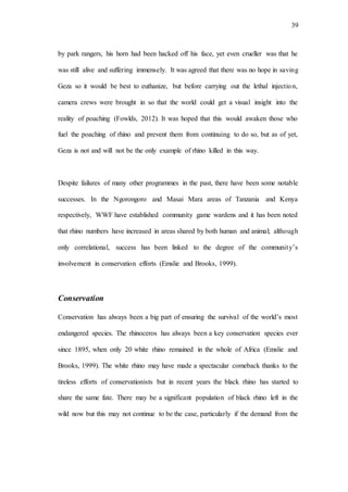 39
by park rangers, his horn had been hacked off his face, yet even crueller was that he
was still alive and suffering immensely. It was agreed that there was no hope in saving
Geza so it would be best to euthanize, but before carrying out the lethal injection,
camera crews were brought in so that the world could get a visual insight into the
reality of poaching (Fowlds, 2012). It was hoped that this would awaken those who
fuel the poaching of rhino and prevent them from continuing to do so, but as of yet,
Geza is not and will not be the only example of rhino killed in this way.
Despite failures of many other programmes in the past, there have been some notable
successes. In the Ngorongoro and Masai Mara areas of Tanzania and Kenya
respectively, WWF have established community game wardens and it has been noted
that rhino numbers have increased in areas shared by both human and animal; although
only correlational, success has been linked to the degree of the community’s
involvement in conservation efforts (Emslie and Brooks, 1999).
Conservation
Conservation has always been a big part of ensuring the survival of the world’s most
endangered species. The rhinoceros has always been a key conservation species ever
since 1895, when only 20 white rhino remained in the whole of Africa (Emslie and
Brooks, 1999). The white rhino may have made a spectacular comeback thanks to the
tireless efforts of conservationists but in recent years the black rhino has started to
share the same fate. There may be a significant population of black rhino left in the
wild now but this may not continue to be the case, particularly if the demand from the
 