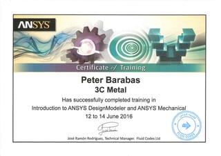 Ansys certificate 