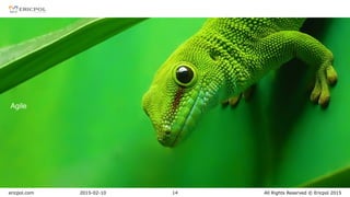 ericpol.com All Rights Reserved © Ericpol 20152015-02-10 14
Agile
 