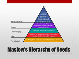 Maslow’s Hierarchy of Needs
 