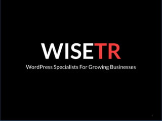 1
WordPress Specialists For Growing Businesses
WISETR
 