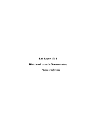 Lab Report No 1
Directional terms in Neuroanatomy
Planes of reference
 