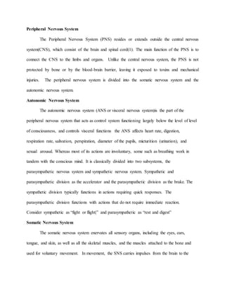 Peripheral Nervous System
The Peripheral Nervous System (PNS) resides or extends outside the central nervous
system(CNS), which consist of the brain and spinal cord(1). The main function of the PNS is to
connect the CNS to the limbs and organs. Unlike the central nervous system, the PNS is not
protected by bone or by the blood-brain barrier, leaving it exposed to toxins and mechanical
injuries. The peripheral nervous system is divided into the somatic nervous system and the
autonomic nervous system.
Autonomic Nervous System
The autonomic nervous system (ANS or visceral nervous system)is the part of the
peripheral nervous system that acts as control system functioning largely below the level of level
of consciousness, and controls visceral functions the ANS affects heart rate, digestion,
respiration rate, salivation, perspiration, diameter of the pupils, micturition (urination), and
sexual arousal. Whereas most of its actions are involuntary, some such as breathing work in
tandem with the conscious mind. It is classically divided into two subsystems, the
parasympathetic nervous system and sympathetic nervous system. Sympathetic and
parasympathetic division as the accelerator and the parasympathetic division as the brake. The
sympathetic division typically functions in actions requiring quick responses. The
parasympathetic division functions with actions that do not require immediate reaction.
Consider sympathetic as “fight or flight|” and parasympathetic as “rest and digest”
Somatic Nervous System
The somatic nervous system enervates all sensory organs, including the eyes, ears,
tongue, and skin, as well as all the skeletal muscles, and the muscles attached to the bone and
used for voluntary movement. In movement, the SNS carries impulses from the brain to the
 