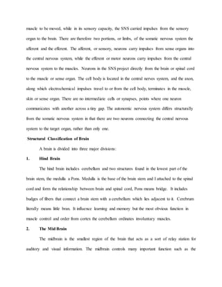 muscle to be moved, while in its sensory capacity, the SNS carried impulses from the sensory
organ to the brain. There are therefore two portions, or limbs, of the somatic nervous system the
afferent and the efferent. The afferent, or sensory, neurons carry impulses from sense organs into
the central nervous system, while the efferent or motor neurons carry impulses from the central
nervous system to the muscles. Neurons in the SNS project directly from the brain or spinal cord
to the muscle or sense organ. The cell body is located in the central nerves system, and the axon,
along which electrochemical impulses travel to or from the cell body, terminates in the muscle,
skin or sense organ. There are no intermediate cells or synapses, points where one neuron
communicates with another across a tiny gap. The autonomic nervous system differs structurally
from the somatic nervous system in that there are two neurons connecting the central nervous
system to the target organ, rather than only one.
Structural Classification of Brain
A brain is divided into three major divisions:
1. Hind Brain
The hind brain includes cerebellum and two structures found in the lowest part of the
brain stem, the medulla a Pons. Medulla is the base of the brain stem and I attached to the spinal
cord and form the relationship between brain and spinal cord, Pons means bridge. It includes
budges of fibers that connect a brain stem with a cerebellum which lies adjacent to it. Cerebrum
literally means little bran. It influence learning and memory but the most obvious function in
muscle control and order from cortex the cerebellum ordinates involuntary muscles.
2. The Mid Brain
The midbrain is the smallest region of the brain that acts as a sort of relay station for
auditory and visual information. The midbrain controls many important function such as the
 