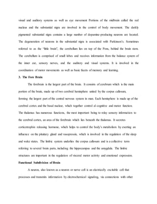 visual and auditory systems as well as eye movement Portions of the midbrain called the red
nucleus and the substantial nigra are involved in the control of body movement. The darkly
pigmented substantial nigra contains a large number of dopamine-producing neurons are located.
The degeneration of neurons in the substantial nigra is associated with Parkinson’s. Sometimes
referred to as the “little brain”, the cerebellum lies on top of the Pons, behind the brain stem.
The cerebellum is comprised of small lobes and receives information from the balance system of
the inner ear, sensory nerves, and the auditory and visual systems. It is involved in the
coordination of motor movements as well as basic facets of memory and learning.
3. The Fore Brain
The forebrain is the largest part of the brain. It consists of cerebrum which is the main
portion of the brain, made up of two cerebral hemisphere united by the corpus callosum,
forming the largest part of the central nervous system in man. Each hemisphere is made up of the
cerebral cortex and the basal nuclear, which together control al cognitive and motor function.
The thalamus has numerous functions, the most important being to relay sensory information to
the cerebral cortex, an area of the forebrain which lies beneath the thalamus. It secretes
corticotrophin releasing hormone, which helps to control the body’s metabolism by exerting an
influence on the pituitary gland and vasopressin, which is involved in the regulation of the sleep
and wake states. The limbic system underlies the corpus callosum and is a collective term
referring to several brain parts, including the hippocampus and the amygdala. The limbic
structures are important in the regulation of visceral motor activity and emotional expression.
Functional Subdivision of Brain
A neuron, also known as a neuron or nerve cell is an electrically excitable cell that
processes and transmits information by electrochemical signaling, via connections with other
 