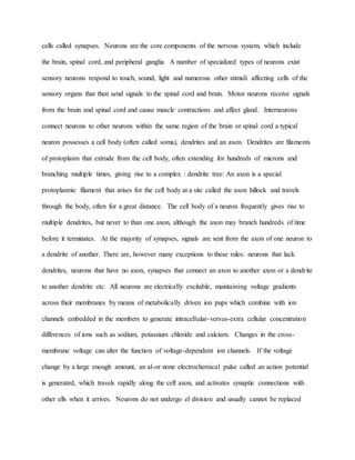 cells called synapses. Neurons are the core components of the nervous system, which include
the brain, spinal cord, and peripheral ganglia A number of specialized types of neurons exist
sensory neurons respond to touch, sound, light and numerous other stimuli affecting cells of the
sensory organs that then send signals to the spinal cord and brain. Motor neurons receive signals
from the brain and spinal cord and cause muscle contractions and affect gland. Interneurons
connect neurons to other neurons within the same region of the brain or spinal cord a typical
neuron possesses a cell body (often called soma), dendrites and an axon. Dendrites are filaments
of protoplasm that extrude from the cell body, often extending for hundreds of microns and
branching multiple times, giving rise to a complex : dendrite tree: An axon is a special
protoplasmic filament that arises for the cell body at a site called the axon hillock and travels
through the body, often for a great distance. The cell body of a neuron frequently gives rise to
multiple dendrites, but never to than one axon, although the axon may branch hundreds of time
before it terminates. At the majority of synapses, signals are sent from the axon of one neuron to
a dendrite of another. There are, however many exceptions to these rules: neurons that lack
dendrites, neurons that have no axon, synapses that connect an axon to another axon or a dendrite
to another dendrite etc. All neurons are electrically excitable, maintaining voltage gradients
across their membranes by means of metabolically driven ion pups which combine with ion
channels embedded in the members to generate intracellular-versus-extra cellular concentration
differences of ions such as sodium, potassium chloride and calcium. Changes in the cross-
membrane voltage can alter the function of voltage-dependent ion channels. If the voltage
change by a large enough amount, an al-or none electrochemical pulse called an action potential
is generated, which travels rapidly along the cell axon, and activates synaptic connections with
other ells when it arrives. Neurons do not undergo el division and usually cannot be replaced
 