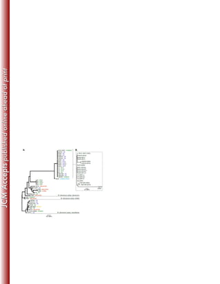 J. Clin. Microbiol.-2014-Davidson-JCM.01144-14