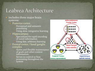  includes three major brain
systems:
 Posterior cortex
 Perceptual and semantic
processing
 Using slow, integrative learning
 Hippocampus
 Specialized for rapid encoding
of novel information
 Using fast, arbitrary learning
 Frontal cortex / basal ganglia
complex
 Active and flexible maintenance
of goals and other context
information,
 Serves to control or bias
processing throughout the
system
 