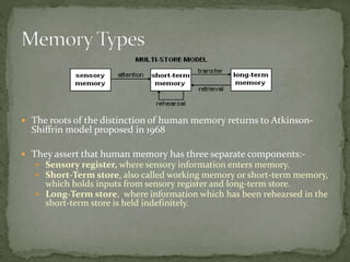  The roots of the distinction of human memory returns to Atkinson-
Shiffrin model proposed in 1968
 They assert that human memory has three separate components:-
 Sensory register, where sensory information enters memory.
 Short-Term store, also called working memory or short-term memory,
which holds inputs from sensory register and long-term store.
 Long-Term store, where information which has been rehearsed in the
short-term store is held indefinitely.
 