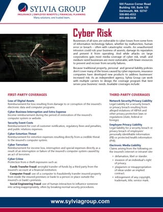 Sylvia Group Cyber Risk flyer