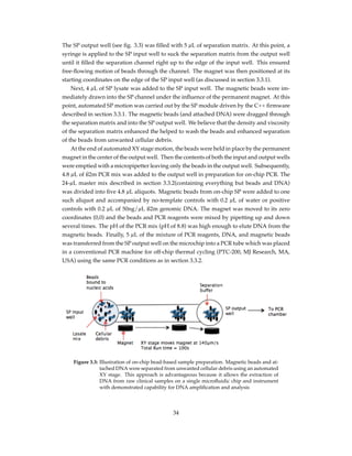 The SP output well (see ﬁg. 3.3) was ﬁlled with 5 µL of separation matrix. At this point, a
syringe is applied to the SP input well to suck the separation matrix from the output well
until it ﬁlled the separation channel right up to the edge of the input well. This ensured
free-ﬂowing motion of beads through the channel. The magnet was then positioned at its
starting coordinates on the edge of the SP input well (as discussed in section 3.3.1).
Next, 4 µL of SP lysate was added to the SP input well. The magnetic beads were im-
mediately drawn into the SP channel under the inﬂuence of the permanent magnet. At this
point, automated SP motion was carried out by the SP module driven by the C++ ﬁrmware
described in section 3.3.1. The magnetic beads (and attached DNA) were dragged through
the separation matrix and into the SP output well. We believe that the density and viscosity
of the separation matrix enhanced the helped to wash the beads and enhanced separation
of the beads from unwanted cellular debris.
At the end of automated XY stage motion, the beads were held in place by the permanent
magnet in the center of the output well. Then the contents of both the input and output wells
were emptied with a micropipetter leaving only the beads in the output well. Subsequently,
4.8 µL of ß2m PCR mix was added to the output well in preparation for on-chip PCR. The
24-µL master mix described in section 3.3.2(containing everything but beads and DNA)
was divided into ﬁve 4.8 µL aliquots. Magnetic beads from on-chip SP were added to one
such aliquot and accompanied by no-template controls with 0.2 µL of water or positive
controls with 0.2 µL of 50ng/µL ß2m genomic DNA. The magnet was moved to its zero
coordinates (0,0) and the beads and PCR reagents were mixed by pipetting up and down
several times. The pH of the PCR mix (pH of 8.8) was high enough to elute DNA from the
magnetic beads. Finally, 5 µL of the mixture of PCR reagents, DNA, and magnetic beads
was transferred from the SP output well on the microchip into a PCR tube which was placed
in a conventional PCR machine for off-chip thermal cycling (PTC-200, MJ Research, MA,
USA) using the same PCR conditions as in section 3.3.2.
Figure 3.3: Illustration of on-chip bead-based sample preparation. Magnetic beads and at-
tached DNA were separated from unwanted cellular debris using an automated
XY stage. This approach is advantageous because it allows the extraction of
DNA from raw clinical samples on a single microﬂuidic chip and instrument
with demonstrated capability for DNA ampliﬁcation and analysis
34
 