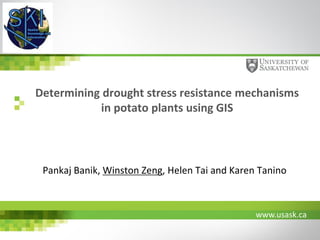 www.usask.ca
Determining drought stress resistance mechanisms
in potato plants using GIS
Pankaj Banik, Winston Zeng, Helen Tai and Karen Tanino
 