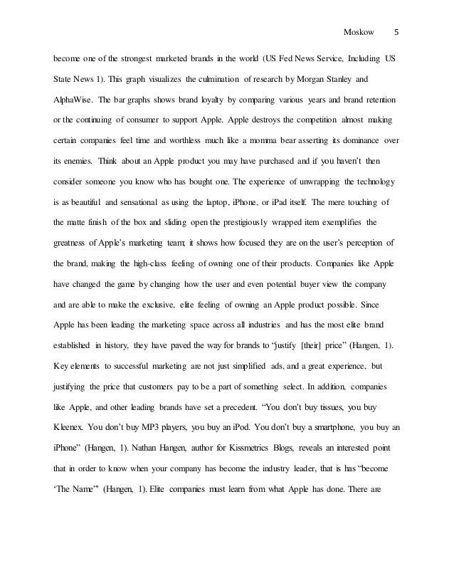 Essay hipanema business strategy 08 picture