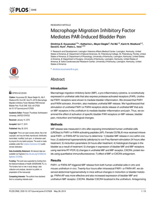 RESEARCH ARTICLE
Macrophage Migration Inhibitory Factor
Mediates PAR-Induced Bladder Pain
Dimitrios E. Kouzoukas1,5
*, Katherine L. Meyer-Siegler2
, Fei Ma1,3
, Karin N. Westlund1,3
,
David E. Hunt1
, Pedro L. Vera1,3,4
1 Research and Development, Lexington Veterans Affairs Medical Center, Lexington, Kentucky, United
States of America, 2 Department of Natural Sciences, St. Petersburg College, St. Petersburg, Florida, United
States of America, 3 Department of Physiology, University of Kentucky, Lexington, Kentucky, United States
of America, 4 Department of Surgery, University of Kentucky, Lexington, Kentucky, United States of
America, 5 Saha Cardiovascular Research Center, University of Kentucky, Lexington, Kentucky, United
States of America
* dimitrios.kouzoukas@va.gov
Abstract
Introduction
Macrophage migration inhibitory factor (MIF), a pro-inflammatory cytokine, is constitutively
expressed in urothelial cells that also express protease-activated receptors (PAR). Urothe-
lial PAR1 receptors were shown to mediate bladder inflammation. We showed that PAR1
and PAR4 activator, thrombin, also mediates urothelial MIF release. We hypothesized that
stimulation of urothelial PAR1 or PAR4 receptors elicits release of urothelial MIF that acts
on MIF receptors in the urothelium to mediate bladder inflammation and pain. Thus, we ex-
amined the effect of activation of specific bladder PAR receptors on MIF release, bladder
pain, micturition and histological changes.
Methods
MIF release was measured in vitro after exposing immortalized human urothelial cells
(UROtsa) to PAR1 or PAR4 activating peptides (AP). Female C57BL/6 mice received intrave-
sical PAR1- or PAR4-AP for one hour to determine: 1) bladder MIF release in vivo within one
hour; 2) abdominal hypersensitivity (allodynia) to von Frey filament stimulation 24 hours after
treatment; 3) micturition parameters 24 hours after treatment; 4) histological changes in the
bladder as a result of treatment; 5) changes in expression of bladder MIF and MIF receptors
using real-time RT-PCR; 6) changes in urothelial MIF and MIF receptor, CXCR4, protein lev-
els using quantitative immunofluorescence; 7) effect of MIF or CXCR4 antagonism.
Results
PAR1- or PAR4-AP triggered MIF release from both human urothelial cells in vitro and
mouse urothelium in vivo. Twenty-four hours after intravesical PAR1- or PAR4-AP, we ob-
served abdominal hypersensitivity in mice without changes in micturition or bladder histolo-
gy. PAR4-AP was more effective and also increased expression of bladder MIF and
urothelium MIF receptor, CXCR4. Bladder CXCR4 localized to the urothelium. Antagonizing
PLOS ONE | DOI:10.1371/journal.pone.0127628 May 28, 2015 1 / 15
OPEN ACCESS
Citation: Kouzoukas DE, Meyer-Siegler KL, Ma F,
Westlund KN, Hunt DE, Vera PL (2015) Macrophage
Migration Inhibitory Factor Mediates PAR-Induced
Bladder Pain. PLoS ONE 10(5): e0127628.
doi:10.1371/journal.pone.0127628
Academic Editor: Praveen Thumbikat, Northwestern
University, UNITED STATES
Received: January 14, 2015
Accepted: April 17, 2015
Published: May 28, 2015
Copyright: This is an open access article, free of all
copyright, and may be freely reproduced, distributed,
transmitted, modified, built upon, or otherwise used
by anyone for any lawful purpose. The work is made
available under the Creative Commons CC0 public
domain dedication.
Data Availability Statement: All relevant data are
available via Figshare (http://dx.doi.org/10.6084/m9.
figshare.1372445).
Funding: This work was supported by funding from
the National Institutes of Health (DK0093496; P.L.V.).
The funders had no role in study design, data
collection and analysis, decision to publish, or
preparation of the manuscript.
Competing Interests: The authors have declared
that no competing interests exist.
 