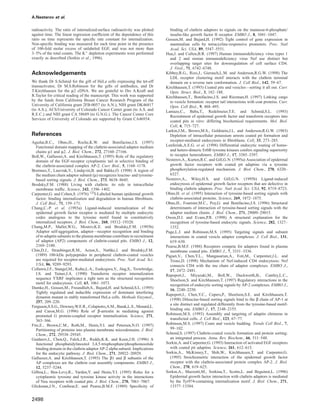 A.Nesterov et al.
radioactivity. The ratio of internalized:surface radioactivity was plotted
against time. The linear regression coefﬁcient of the dependence of this
ratio on time represents the speciﬁc rate constant for internalization.
Non-speciﬁc binding was measured for each time point in the presence
of 100-fold molar excess of unlabeled EGF, and was not more than
3–5% of the total counts. The Kϩ depletion experiments were performed
exactly as described (Sorkin et al., 1996).
Acknowledgements
We thank Dr S.Schmid for the gift of HeLa cells expressing the tet-off
transactivator, Dr M.S.Robinson for the gifts of antibodies, and Dr
T.Kirchhausen for the µ2 cDNA. We are grateful to Drs A.Kraft and
R.Taylor for critical reading of the manuscript. This work was supported
by the funds from California Breast Cancer Research Program of the
University of California grant 2FB-0057 (to A.N.), NIH grant DK46817
(to A.S.), ACS/University of Colorado Cancer Center grant (to A.S. and
R.E.C.) and NIH grant CA 58689 (to G.N.G.). The Cancer Center Core
Services of University of Colorado are supported by Grant CA46934.
References
Aguilar,R.C., Ohno,H., Roche,K.W. and Bonifacino,J.S. (1997)
Functional domain mapping of the clathrin-associated adaptor medium
chains µ1 and µ2. J. Biol. Chem., 272, 27160–27166.
Boll,W., Gallusser,A. and Kirchhausen,T. (1995) Role of the regulatory
domain of the EGF-receptor cytoplasmic tail in selective binding of
the clathrin-associated complex AP-2. Curr. Biol., 5, 1168–1178.
Bremnes,T., Lauvrak,V., Lindqvist,B. and Bakke,O. (1998) A region of
the medium chain adaptor subunit (µ) recognizes leucine- and tyrosine-
based sorting signals. J. Biol. Chem., 273, 8638–8645.
Brodsky,F.M. (1988) Living with clathrin: its role in intracellular
membrane trafﬁc. Science, 242, 1396–1402.
Carpenter,G. and Cohen,S. (1976) 125I-Labeled human epidermal growth
factor: binding internalization and degradation in human ﬁbroblasts.
J. Cell Biol., 71, 159–171.
Chang,C.-P. et al. (1993a) Ligand-induced internalization of the
epidermal growth factor receptor is mediated by multiple endocytic
codes analogous to the tyrosine motif found in constitutively
internalized receptors. J. Biol. Chem., 268, 19312–19320.
Chang,M.P., Mallet,W.G., Mostov,K.E. and Brodsky,F.M. (1993b)
Adaptor self-aggregation, adaptor—receptor recognition and binding
of α-adaptin subunits to the plasma membrane contribute to recruitment
of adaptor (AP2) components of clathrin-coated pits. EMBO J., 12,
2169–2180.
Chin,D.J., Straubinger,R.M., Acton,S., Nathke,I. and Brodsky,F.M.
(1989) 100-kDa polypeptides in peripheral clathrin-coated vesicles
are required for receptor-mediated endocytosis. Proc. Natl Acad. Sci.
USA, 86, 9289–9293.
Collawn,J.F., Stangel,M., Kuhn,L.A., Esekogwu,V., Jing,S., Trowbridge,
I.S. and Tainer,J.A. (1990) Transferrin receptor internalization
sequence YXRF implicates a tight turn as the structural recognition
motif for endocytosis. Cell, 63, 1061–1073.
Damke,H., Gossen,M., Freundlieb,S., Bujard,H. and Schmid,S.L. (1995)
Tightly regulated and inducible expression of dominant interfering
dynamin mutant in stably transformed HeLa cells. Methods Enzymol.,
257, 209–220.
Ferguson,S.S.G., Downey,W.E.R., Colapietro,A.M., Barak,L.S., Menard,L.
and Caron,M.G. (1996) Role of β-arrestin in mediating agonist
promoted G protein-coupled receptor internalization. Science, 271,
363–366.
Fire,E., Brown,C.M., Roth,M., Henis,Y.I. and Petersen,N.O. (1997)
Partitioning of proteins into plasma membrane microdomains. J. Biol.
Chem., 272, 29538–29545.
Gaidarov,I., Chen,Q., Falck,J.R., Reddy,K.K. and Keen,J.H. (1996) A
functional phosphatidylinositol 3,4,5-trisphosphate/phosphoinositide
binding domain in the clathrin adaptor AP-2 alpha subunit. Implications
for the endocytic pathway. J. Biol. Chem., 271, 20922–20929.
Gallusser,A. and Kirchhausen,T. (1993) The β1 and β subunits of the
AP complexes are the clathrin coat assembly components. EMBO J.,
12, 5237–5244.
Gilboa,L., Ben-Levy,R., Yarden,Y. and Henis,Y.I. (1995) Roles for a
cytoplasmic tyrosine and tyrosine kinase activity in the interactions
of Neu receptors with coated pits. J. Biol. Chem., 270, 7061–7067.
Glickman,J.N., Conibear,E. and Pearse,B.M.F. (1989) Speciﬁcity of
2498
binding of clathrin adaptors to signals on the mannose-6-phosphate/
insulin-like growth factor II receptor. EMBO J., 8, 1041–1047.
Gossen,M. and Bujard,H. (1992) Tight control of gene expression in
mammalian cells by tetracycline-responsive promoters. Proc. Natl
Acad. Sci. USA, 89, 5547–5551.
Hua,J. and Cullen,B.R. (1997) Human immunodeﬁciency virus types 1
and 2 and simian immunodeﬁciency virus Nef use distinct but
overlapping target sites for downregulation of cell surface CD4.
J. Virol., 71, 6742–6748.
Kibbey,R.G., Rizo,J., Gierasch,L.M. and Anderson,R.G.W. (1998) The
LDL receptor clustering motif interacts with the clathrin terminal
domain on a reverse turn conformation. J. Cell Biol., 142, 59–67.
Kirchhausen,T. (1993) Coated pits and vesicles—sorting it all out. Curr.
Opin. Struct. Biol., 3, 182–188.
Kirchhausen,T., Bonifacino,J.S. and Riezman,H. (1997) Linking cargo
to vesicle formation: receptor tail interactions with coat proteins. Curr.
Opin. Cell Biol., 9, 488–495.
Lamaze,C., Baba,T., Redelmeier,T.E. and Schmid,S.L. (1993)
Recruitment of epidermal growth factor and transferrin receptors into
coated pits in vitro: differing biochemical requirements. Mol. Biol.
Cell, 4, 715–727.
Larkin,J.M., Brown,M.S., Goldstein,J.L. and Anderson,R.G.W. (1983)
Depletion of intracellular potassium arrests coated pit formation and
receptor-mediated endocytosis in ﬁbroblasts. Cell, 33, 273–285.
Lenferink,A.E.G. et al. (1998) Differential endocytic routing of homo-
and hetero-dimeric ErbB tyrosine kinases confers signaling superiority
to receptor heterodimers. EMBO J., 17, 3385–3397.
Nesterov,A., Kurten,R.C. and Gill,G.N. (1995a) Association of epidermal
growth factor receptors with coated pit adaptins via a tyrosine
phosphorylation-regulated mechanism. J. Biol. Chem., 270, 6320–
6327.
Nesterov,A., Wiley,H.S. and Gill,G.N. (1995b) Ligand-induced
endocytosis of epidermal growth factor receptors that are defective in
binding clathrin adaptors. Proc. Natl Acad. Sci. USA, 92, 8719–8723.
Ohno,H. et al. (1995) Interaction of tyrosine-based sorting signals with
clathrin-associated proteins. Science, 269, 1872–1875.
Ohno,H., Fournier,M.C., Poy,G. and Bonifacino,J.S. (1996) Structural
determinants of interaction of tyrosine-based sorting signals with the
adaptor medium chains. J. Biol. Chem., 271, 29009–29015.
Owen,D.J. and Evans,P.R. (1998) A structural explanation for the
recognition of tyrosine-based endocytic signals. Science, 282, 1327–
1332.
Page,L.J. and Robinson,M.S. (1995) Targeting signals and subunit
interactions in coated vesicle adaptor complexes. J. Cell Biol., 131,
619–630.
Pearse,B.M.F. (1988) Receptors compete for adaptors found in plasma
membrane coated pits. EMBO J., 7, 3331–3336.
Piguet,V., Chen,Y.L., Mangasarian,A., Foti,M., Carpentier,J.L. and
Trono,D. (1998) Mechanism of Nef-induced CD4 endocytosis: Nef
connects CD4 with the mu chain of adaptor complexes. EMBO J.,
17, 2472–2481.
Rapoport,I., Miyazaki,M., Boll,W., Duckworth,B., Cantley,L.C.,
Shoelson,S. and Kirchhausen,T. (1997) Regulatory interactions in the
recognition of endocytic sorting signals by AP-2 complexes. EMBO J.,
16, 2240–2250.
Rapoport,I., Chen,Y.C., Cupers,P., Shoelson,S.E. and Kirchhausen,T.
(1998) Dileucine-based sorting signals bind to the β chain of AP-1 at
a site distinct and regulated differently from the tyrosine-based motif-
binding site. EMBO J., 17, 2148–2155.
Robinson,M.S. (1993) Assembly and targeting of adaptin chimeras in
transfected cells. J. Cell Biol., 123, 67–77.
Robinson,M.S. (1997) Coats and vesicle budding. Trends Cell Biol., 7,
99–102.
Schmid,S. (1997) Clathrin-coated vesicle formation and protein sorting:
an integrated process. Annu. Rev. Biochem., 66, 511–548.
Sorkin,A. and Carpenter,G. (1993) Interaction of activated EGF receptors
with coated pit adaptins. Science, 261, 612–615.
Sorkin,A., McKinsey,T., Shih,W., Kirchhausen,T. and Carpenter,G.
(1995) Stoichiometric interaction of the epidermal growth factor
receptor with the clathrin-associated protein complex AP-2. J. Biol.
Chem., 270, 619–625.
Sorkin,A., Mazzotti,M., Sorkina,T., Scotto,L. and Beguinot,L. (1996)
Epidermal growth factor interaction with clathrin adaptors is mediated
by the Tyr974-containing internalization motif. J. Biol. Chem., 271,
13377–13384.
 
