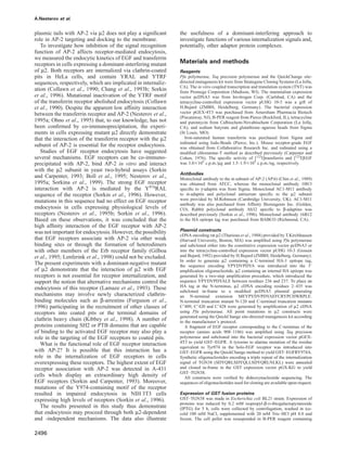 A.Nesterov et al.
plasmic tails with AP-2 via µ2 does not play a signiﬁcant
role in AP-2 targeting and docking to the membrane.
To investigate how inhibition of the signal recognition
function of AP-2 affects receptor-mediated endocytosis,
we measured the endocytic kinetics of EGF and transferrin
receptors in cells expressing a dominant-interfering mutant
of µ2. Both receptors are internalized via clathrin-coated
pits in HeLa cells, and contain YRAL and YTRF
sequences, respectively, which are implicated in internaliz-
ation (Collawn et al., 1990; Chang et al., 1993b; Sorkin
et al., 1996). Mutational inactivation of the YTRF motif
of the transferrin receptor abolished endocytosis (Collawn
et al., 1990). Despite the apparent low afﬁnity interaction
between the transferrin receptor and AP-2 (Nesterov et al.,
1995a; Ohno et al., 1995) that, to our knowledge, has not
been conﬁrmed by co-immunoprecipitation, the experi-
ments in cells expressing mutant µ2 directly demonstrate
that the interaction of the transferrin receptor with the µ2
subunit of AP-2 is essential for the receptor endocytosis.
Studies of EGF receptor endocytosis have suggested
several mechanisms. EGF receptors can be co-immuno-
precipitated with AP-2, bind AP-2 in vitro and interact
with the µ2 subunit in yeast two-hybrid assays (Sorkin
and Carpenter, 1993; Boll et al., 1995; Nesterov et al.,
1995a; Sorkina et al., 1999). The strong EGF receptor
interaction with AP-2 is mediated by the Y974RAL
sequence of the receptor (Sorkin et al., 1996). However,
mutations in this sequence had no effect on EGF receptor
endocytosis in cells expressing physiological levels of
receptors (Nesterov et al., 1995b; Sorkin et al., 1996).
Based on these observations, it was concluded that the
high afﬁnity interaction of the EGF receptor with AP-2
was not important for endocytosis. However, the possibility
that EGF receptors associate with AP-2 via other weak
binding sites or through the formation of heterodimers
with other members of the Erb receptor family (Gilboa
et al., 1995; Lenferink et al., 1998) could not be excluded.
The present experiments with a dominant-negative mutant
of µ2 demonstrate that the interaction of µ2 with EGF
receptors is not essential for receptor internalization, and
support the notion that alternative mechanisms control the
endocytosis of this receptor (Lamaze et al., 1993). These
mechanisms may involve newly characterized clathrin-
binding molecules such as β-arrestins (Ferguson et al.,
1996) participating in the recruitment of other classes of
receptors into coated pits or the terminal domains of
clathrin heavy chain (Kibbey et al., 1998). A number of
proteins containing SH2 or PTB domains that are capable
of binding to the activated EGF receptor may also play a
role in the targeting of the EGF receptors to coated pits.
What is the functional role of EGF receptor interaction
with AP-2? It is possible that this interaction has a
role in the internalization of EGF receptors in cells
overexpressing these receptors. The highest extent of EGF
receptor association with AP-2 was detected in A-431
cells which display an extraordinary high density of
EGF receptors (Sorkin and Carpenter, 1993). Moreover,
mutations of the Y974-containing motif of the receptor
resulted in impaired endocytosis in NIH 3T3 cells
expressing high levels of receptors (Sorkin et al., 1996).
The results presented in this study thus demonstrate
that endocytosis may proceed through both µ2-dependent
and -independent mechanisms. The data also illustrate
2496
the usefulness of a dominant-interfering approach to
investigate functions of various internalization signals and,
potentially, other adaptor protein complexes.
Materials and methods
Reagents
Pfu polymerase, Taq precision polymerase and the QuickChange site-
directed mutagenesis kit were from Strategene Cloning Systems (La Jolla,
CA). The in vitro coupled transcription and translation system (TNT) was
from Promega Corporation (Madison, WI). The mammalian expression
vector pcDNA3 was from Invitrogen Corp. (Carlsbad, CA) and the
tetracycline-controlled expression vector pUHG 10-3 was a gift of
H.Bujard (ZMBH, Heidelberg, Germany). The bacterial expression
vector pGEX-4T3 was purchased from Amersham Pharmacia Biotech
(Piscataway, NJ), B-PER reagent from Pierce (Rockford, IL), tetracycline
and puromycin from Calbiochem-Novabiochem Corporation (La Jolla,
CA), and sodium butyrate and glutathione–agarose beads from Sigma
(St Louis, MO).
Iron-saturated human transferrin was purchased from Sigma and
iodinated using Iodo-Beads (Pierce, Inc.). Mouse receptor-grade EGF
was obtained from Collaborative Research Inc. and iodinated using a
modiﬁed chloramine-T method as described previously (Carpenter and
Cohen, 1976). The speciﬁc activity of [125I]transferrin and [125I]EGF
was 3.0ϫ105 c.p.m./µg and 1.5–1.9ϫ105 c.p.m./ng, respectively.
Antibodies
Monoclonal antibody to the α-subunit of AP-2 (AP.6) (Chin et al., 1989)
was obtained from ATCC, whereas the monoclonal antibody 100/3
speciﬁc to γ-adaptin was from Sigma. Monoclonal AC1-M11 antibody
to α-adaptin and polyclonal antiserum speciﬁc to the µ2 subunit
were provided by M.Robinson (Cambridge University, UK). AC1-M11
antibody was also purchased from Afﬁnity Bioreagents Inc. (Golden,
CO). Rabbit polyclonal antibody Ab32 speciﬁc to β-adaptins was
described previously (Sorkin et al., 1996). Monoclonal antibody 16B12
to the HA epitope tag was purchased from BABCO (Richmond, CA).
Plasmid constructs
cDNA encoding rat µ2 (Thurieau et al., 1988) provided by T.Kirchhausen
(Harvard University, Boston, MA) was ampliﬁed using Pfu polymerase
and subcloned either into the constitutive expression vector pcDNA3 or
into the tetracycline-controlled expression vector pUHG 10-3 (Gossen
and Bujard, 1992) provided by H.Bujard (ZMBH, Heidelberg, Germany).
In order to generate µ2 containing a C-terminal HA-1 epitope tag,
the sequence encoding YPYDVPDYA was introduced into the 3Ј
ampliﬁcation oligonucleotide. µ2 containing an internal HA epitope was
generated by a two-step ampliﬁcation procedure, which introduced the
sequence YPYDVPDYALE between residues 236 and 237. To place an
HA tag at the N-terminus, µ2 cDNA encoding residues 2–435 was
subcloned in-frame to a modiﬁed pcDNA3 plasmid generating
an N-terminal extension MEYPYDVPDYAEFCRYPCHWRPLE.
N-terminal truncation mutant N-120 and C-terminal truncation mutants
CЈ409, CЈ420 and CЈ428 were generated by ampliﬁcation of µ2 cDNA
using Pfu polymerase. All point mutations in µ2 constructs were
generated using the QuickChange site-directed mutagenesis kit according
to the manufacturer’s protocol.
A fragment of EGF receptor corresponding to the C-terminus of the
receptor (amino acids 908–1186) was ampliﬁed using Taq precision
polymerase and subcloned into the bacterial expression vector pGEX-
4T3 to yield GST–EGFR. A tyrosine to alanine mutation of the residue
equivalent to Tyr974 in the holo-EGF receptor was introduced into
GST–EGFR using the QuickChange method to yield GST–EGFRY974A.
Synthetic oligonucleotides encoding a triple repeat of the internalization
signal of TGN38 (SDYQRLSDYQLLSDYQRLNLKL) were annealed
and cloned in-frame in the GST expression vector pGX-KG to yield
GST–TGN38.
All constructs were veriﬁed by dideoxynucleotide sequencing. The
sequences of oligonucleotides used for cloning are available upon request.
Expression of GST fusion proteins
GST–TGN38 was made in Escherichia coli BL21 strain. Expression of
proteins was induced by 0.2 mM isopropyl-β-D-thiogalactopyranoside
(IPTG) for 5 h, cells were collected by centrifugation, washed in ice-
cold 100 mM NaCl, supplemented with 20 mM Tris–HCl pH 8.0 and
frozen. The cell pellet was resuspended in B-PER reagent containing
 