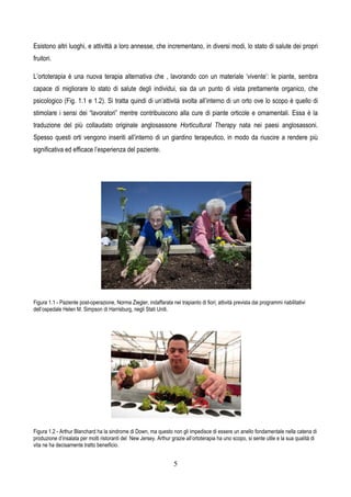 5
Esistono altri luoghi, e attivittà a loro annesse, che incrementano, in diversi modi, lo stato di salute dei propri
fruitori.
L’ortoterapia è una nuova terapia alternativa che , lavorando con un materiale ‘vivente’: le piante, sembra
capace di migliorare lo stato di salute degli individui, sia da un punto di vista prettamente organico, che
psicologico (Fig. 1.1 e 1.2). Si tratta quindi di un’attività svolta all’interno di un orto ove lo scopo è quello di
stimolare i sensi dei “lavoratori” mentre contribuiscono alla cure di piante orticole e ornamentali. Essa è la
traduzione del più collaudato originale anglosassone Horticultural Therapy nata nei paesi anglosassoni.
Spesso questi orti vengono inseriti all’interno di un giardino terapeutico, in modo da riuscire a rendere più
significativa ed efficace l’esperienza del paziente.
Figura 1.1 - Paziente post-operazione, Norma Ziegler, indaffarata nel trapianto di fiori; attività prevista dai programmi riabilitativi
dell’ospedale Helen M. Simpson di Harrisburg, negli Stati Uniti.
Figura 1.2 - Arthur Blanchard ha la sindrome di Down, ma questo non gli impedisce di essere un anello fondamentale nella catena di
produzione d’insalata per molti ristoranti del New Jersey. Arthur grazie all’ortoterapia ha uno scopo, si sente utile e la sua qualità di
vita ne ha decisamente tratto beneificio.
 