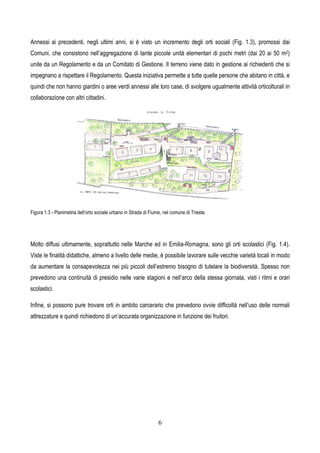 6
Annessi ai precedenti, negli ultimi anni, si è visto un incremento degli orti sociali (Fig. 1.3), promossi dai
Comuni, che consistono nell’aggregazione di tante piccole unità elementari di pochi metri (dai 20 ai 50 m2)
unite da un Regolamento e da un Comitato di Gestione. Il terreno viene dato in gestione ai richiedenti che si
impegnano a rispettare il Regolamento. Questa iniziativa permette a tutte quelle persone che abitano in città, e
quindi che non hanno giardini o aree verdi annessi alle loro case, di svolgere ugualmente attività orticolturali in
collaborazione con altri cittadini.
Figura 1.3 - Planimetria dell’orto sociale urbano in Strada di Fiume, nel comune di Trieste.
Molto diffusi ultimamente, soprattutto nelle Marche ed in Emilia-Romagna, sono gli orti scolastici (Fig. 1.4).
Viste le finalità didattiche, almeno a livello delle medie, è possibile lavorare sulle vecchie varietà locali in modo
da aumentare la consapevolezza nei più piccoli dell’estremo bisogno di tutelare la biodiversità. Spesso non
prevedono una continuità di presidio nelle varie stagioni e nell’arco della stessa giornata, visti i ritmi e orari
scolastici.
Infine, si possono pure trovare orti in ambito carcerario che prevedono ovvie difficoltà nell’uso delle normali
attrezzature e quindi richiedono di un’accurata organizzazione in funzione dei fruitori.
 