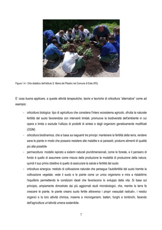 7
Figura 1.4 - Orto didattico dell’Istituto S. Maria del Pilastro nel Comune di Este (PD).
E’ cosa buona applicare, a queste attività terapeutiche, teorie e tecniche di orticoltura “alternative” come ad
esempio:
- orticoltura biologica: tipo di agricoltura che considera l'intero ecosistema agricolo, sfrutta la naturale
fertilità del suolo favorendola con interventi limitati, promuove la biodiversità dell'ambiente in cui
opera e limita o esclude l'utilizzo di prodotti di sintesi e degli organismi geneticamente modificati
(OGM)
- orticoltura biodinamica, che si basa sui seguenti tre principi: mantenere la fertilità della terra, rendere
sane le piante in modo che possano resistere alle malattie e ai parassiti, produrre alimenti di qualità
più alta possibile
- permacoltura: modello ispirato a sistemi naturali pluridimensionali, come le foreste, e il pensiero di
fondo è quello di assumere come misura della produzione le modalità di produzione della natura;
quindi il suo primo obiettivo è quello di assicurare la salute e fertilità del suolo
- orticoltura sinergica: metodo di coltivazione naturale che persegue l'autofertilità del suolo tramite la
coltivazione vegetale, vede il suolo e le piante come un unico organismo e mira a ristabilirne
l'equilibrio permettendo le condizioni ideali che favoriscono lo sviluppo della vita. Si basa sul
principio, ampiamente dimostrato dai più aggiornati studi microbiologici, che, mentre la terra fa
crescere le piante, le piante creano suolo fertile attraverso i propri «essudati radicali», i residui
organici e la loro attività chimica, insieme a microrganismi, batteri, funghi e lombrichi, facendo
dell'agricoltura un'attività umana sostenibile.
 