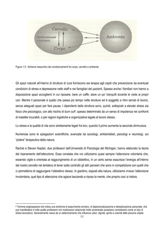 11
Figura 1.5 - Schema riassuntivo dei condizionamenti tra corpo, cervello e ambiente.
Gli spazi naturali all’interno di strutture di cura forniscono sia terapia agli ospiti che prevenzione da eventuali
condizioni di stress e depressione nello staff e nei famigliari dei pazienti. Spesso anche i familiari non hanno a
disposizione spazi accoglienti in cui riposare, bere un caffè, stare un po’ tranquilli durante le visite ai propri
cari. Mentre il personale è quello che passa più tempo nelle strutture ed è soggetto a ritmi serrati di lavoro,
senza adeguati spazi per fare pausa. I dipendenti della struttura sono, quindi, sottoposti a elevato stress sia
fisico che psicologico, con alto rischio di burn out6, spesso determinato da un senso di impotenza nei confronti
di malattie incurabili, o per ragioni logistiche e organizzative legate al lavoro stesso.
Lo stress e la qualità di vita sono strettamente legati fra loro, quando il primo aumenta la seconda diminuisce.
Numerose sono le spiegazioni scientifiche, avanzate da sociologi, ambientalisti, psicologi e neurologi, sul
“potere” terapeutico della natura.
Rachel e Steven Kaplan, due professori dell’Università di Psicologia del Michigan, hanno elaborato la teoria
del risanamento dell’attenzione. Essa constata che noi utilizziamo quasi sempre l’attenzione volontaria che,
essendo vigile e orientata al raggiungimento di un obbiettivo, in un certo senso esaurisce l’energia all’interno
del nostro cervello nel tentativo di tener sotto controllo gli altri pensieri che sono in competizione con quelli che
ci permettono di raggiungere l’obbiettivo stesso. In giardino, esposti alla natura, utilizziamo invece l’attenzione
involontaria, quel tipo di attenzione che agisce lasciando a riposo la mente, che proprio così si ristora.
6 Termine anglosassone che indica una sindrome di esaurimento emotivo, di depersonalizzazione e derealizzazione personale, che
può manifestarsi in tutte quelle professioni con implicazioni relazionali molto accentuate (possiamo considerarlo come un tipo di
stress lavorativo). Generalmente nasce da un deterioramento che influenza valori, dignità, spirito e volontà delle persone colpite.
 
